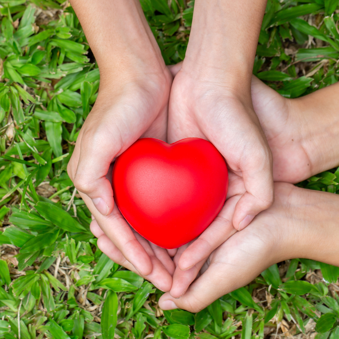 ホームページを開設しました！